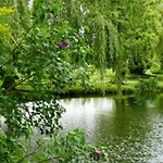 Manoir De La Peylouse Bed & Breakfast 4*