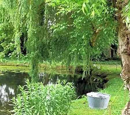 Manoir De La Peylouse
