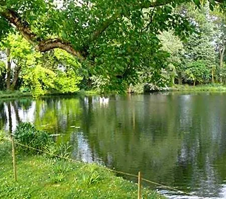 Bed & Breakfast Manoir De La Peylouse