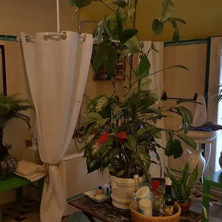 Manoir De La Peylouse 4* Saint-Venant