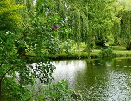 Manoir De La Peylouse Bed & Breakfast 4*